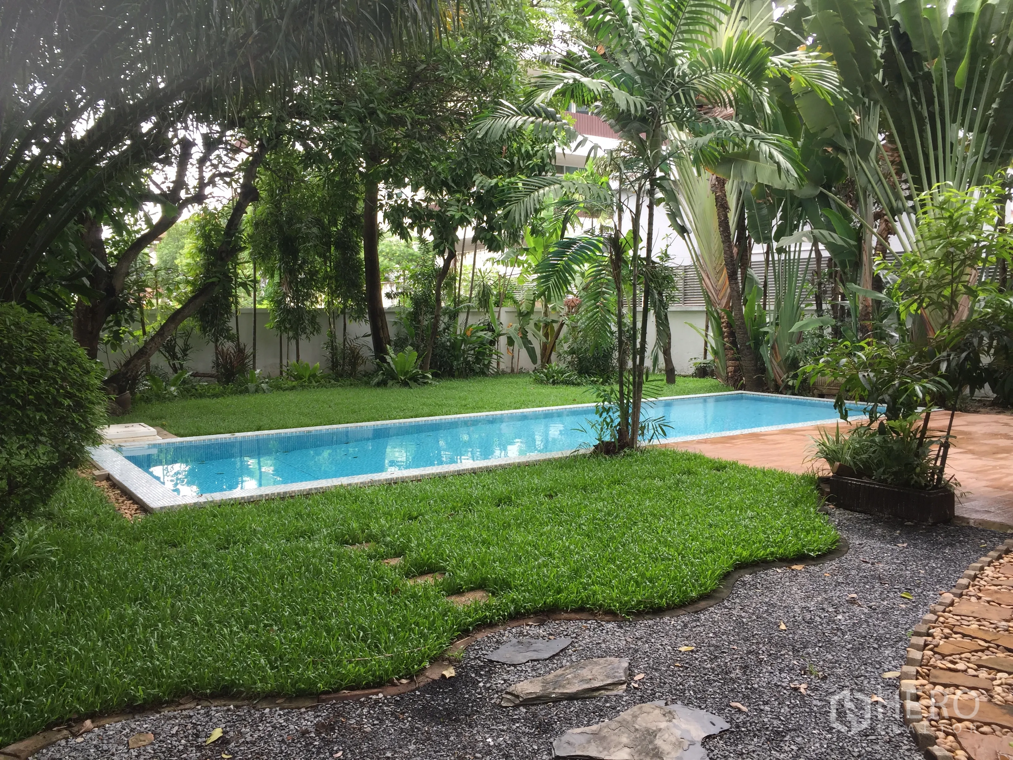 Detached House for rent in Khlong Toei, Bangkok - Lush green lawn and mature trees surrounding a rectangular pool and terrace.