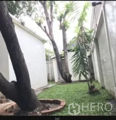 Detached House for rent in Phra Khanong, Bangkok - Side yard with grass, palm and mature trees along a high privacy wall.