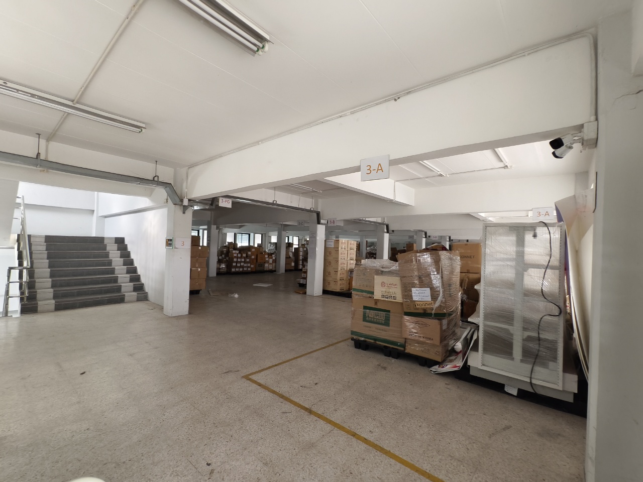 Warehouse for rent in Lat Krabang, Bangkok - Warehouse floor marked into zones with pallets of cartons and wide aisles for movement.