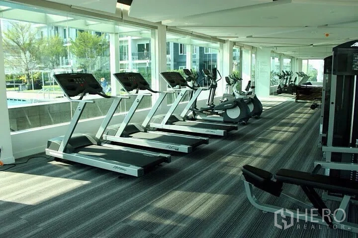 Condominium for rent in Khlong Toei, Bangkok - Light‑filled fitness center with treadmills, bikes and weight machines facing the pool.