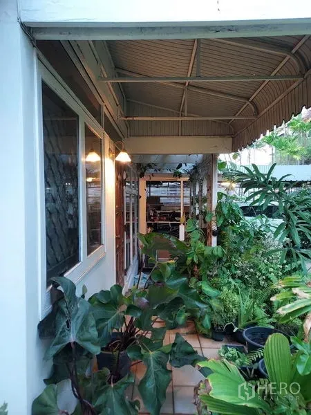 บ้าน ให้เช่าในMueang Samut Prakan, Samut Prakan - ทางเดินข้างบ้านมีหลังคาและไม้กระถางเขียวตลอดแนว