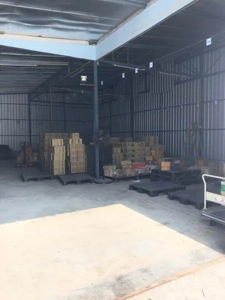 Warehouse for rent in Wang Thonglang, Bangkok - Open storage bay with high ceiling, corrugated walls, pallets and boxed inventory.