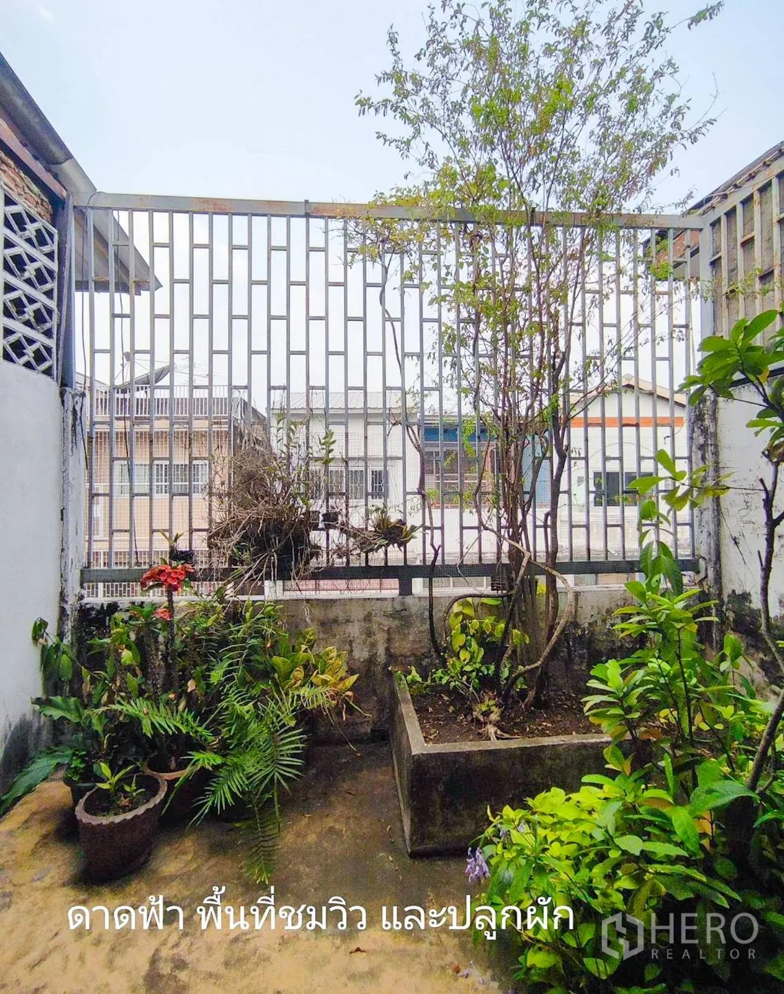 店屋 出租或出售在Watthana, Bangkok - 屋顶小花园角落，种植槽和绿植靠金属栅栏。