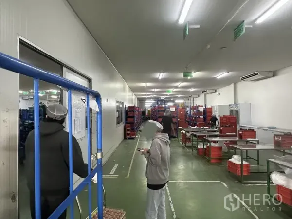 工厂 出租在Lat Krabang, Bangkok - 恒温加工区，配不锈钢工作台、货架与清晰作业通道。