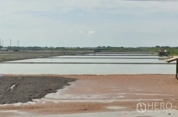 Land for sale in Mueang Samut Sakhon, Samut Sakhon - Close-up of large rectangular salt evaporation ponds stretching toward the horizon.