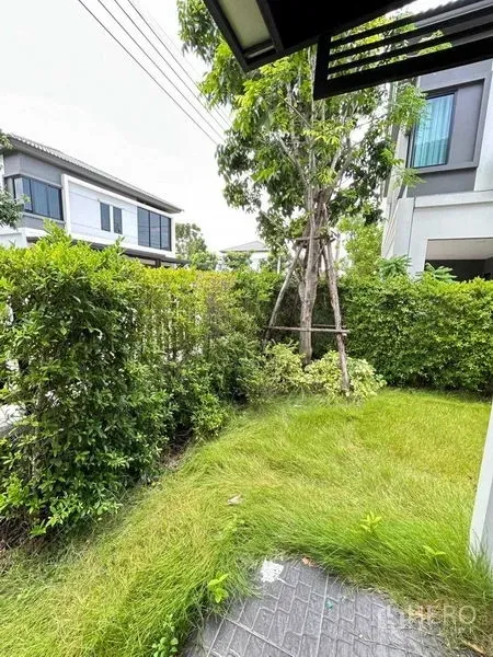 独立式住宅 出租在Khlong Sam Wa, Bangkok - 前院角落花园，绿篱与小树，邻近现代住宅