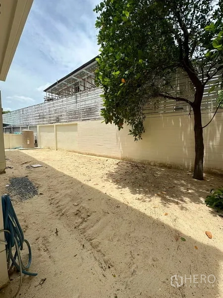 บ้าน ขายในPrawet, Bangkok - ลานหลังบ้านมีต้นไม้ จุดต่อสายยาง และกำแพงรั้วสูง