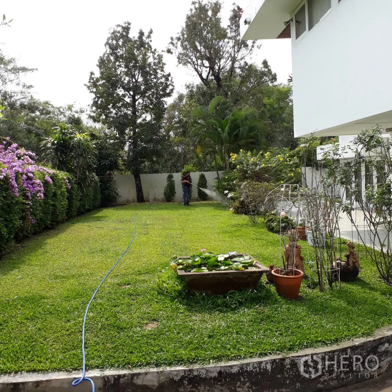 独立式住宅 出租在Khlong Toei, Bangkok - 私家庭院大草坪，绿篱与开花植物，房屋侧边步道。