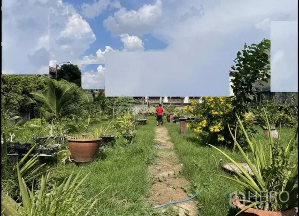 Land for sale in Suan Luang, Bangkok - Long grassy path through cultivated garden beds and potted plants on a flat plot.