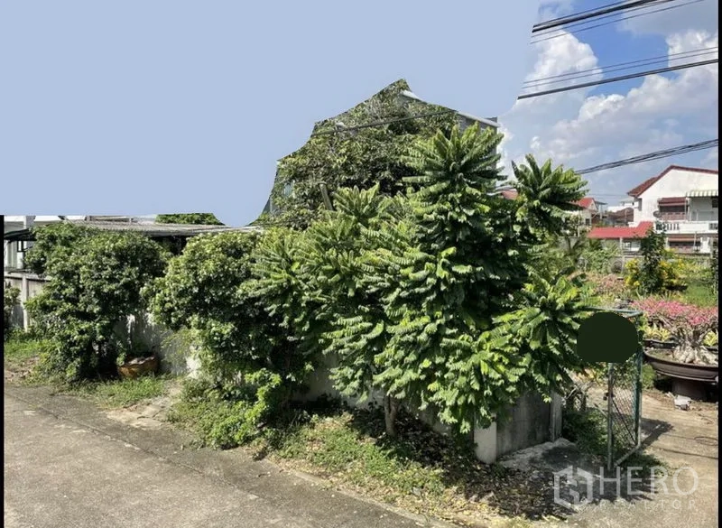 Land for sale in Suan Luang, Bangkok - Corner of the plot with boundary wall, dense trees and a metal gate in a residential area.