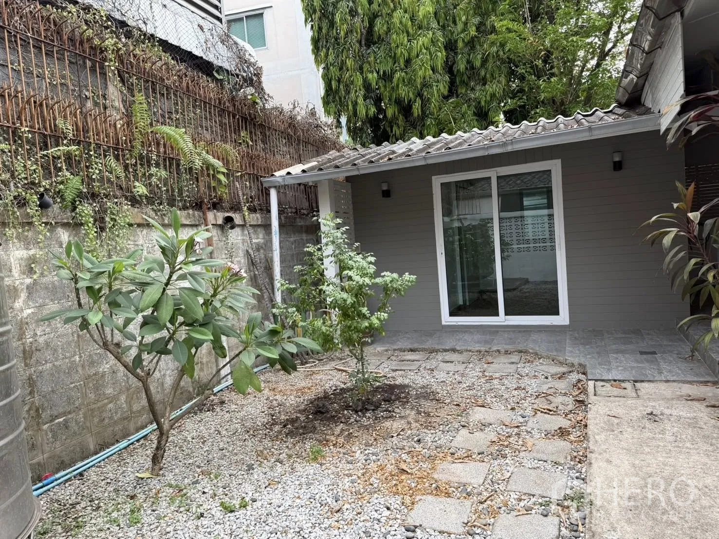独栋房屋 for rent in Khlong Toei, Bangkok - 私家庭院，绿植与碎石步道，通向带推拉玻璃门的房间。