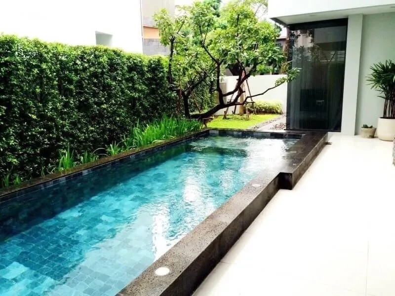 Detached House for rent in Wang Thonglang, Bangkok - Private lap pool bordered by hedges and a small landscaped garden beside the home.