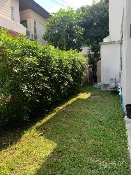 独立式住宅 出租在Prawet, Bangkok - 独栋别墅侧边草坪，绿篱与围墙相伴。