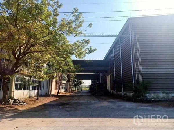 货栈 出租在Mueang Samut Sakhon, Samut Sakhon - 树荫掩映的入口道路，左右为仓库厂房并设连棚。