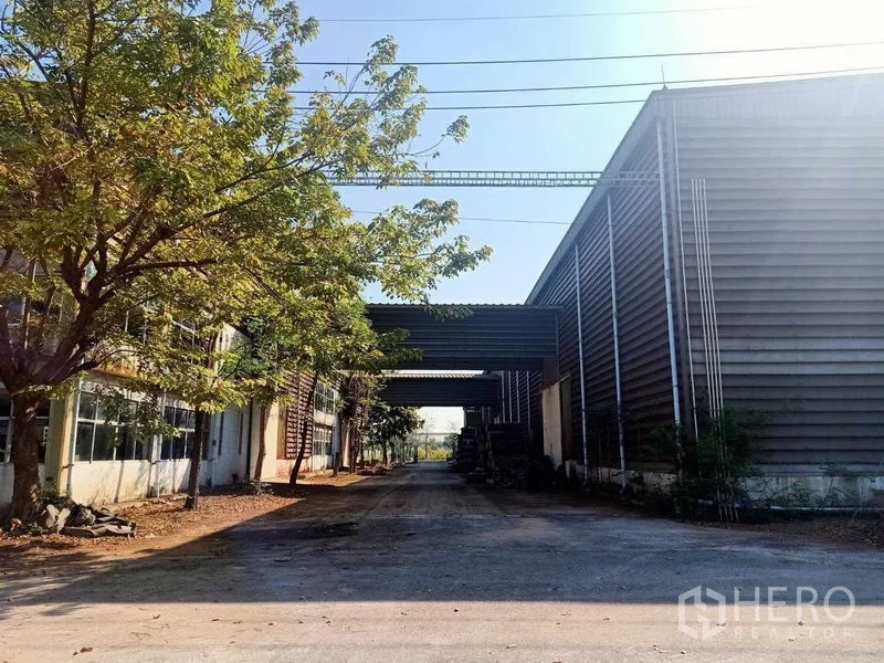 Warehouse for rent in Mueang Samut Sakhon, Samut Sakhon - Entrance road between warehouse sheds shaded by trees and overhead canopies.