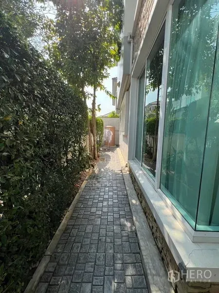 Detached House for rent or sale in Saphan Sung, Bangkok - Side garden walkway with hedge and large windows of the house.