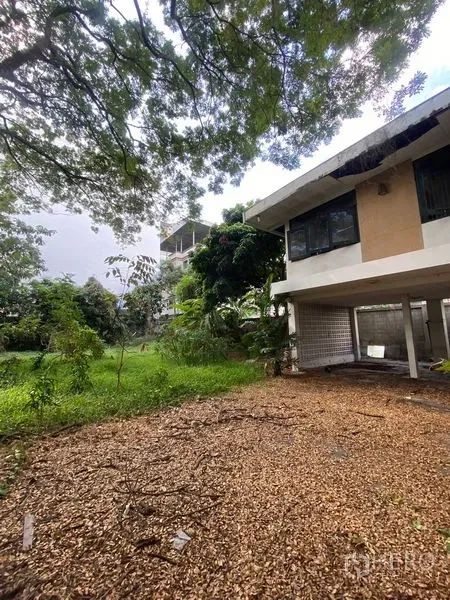 Detached House for rent in Bang Na, Bangkok - Side view of the house showing a wide gravel yard, lawn and trees suitable for parking and landscaping.