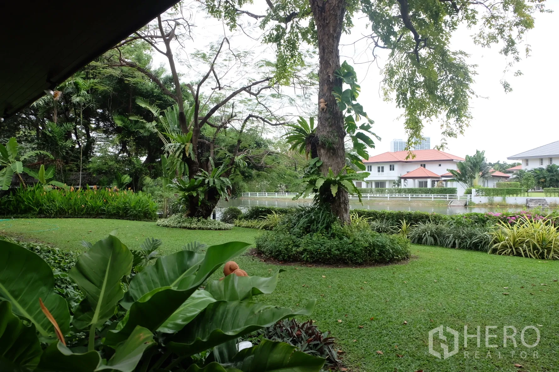 独立式住宅 出租在Bang Phli, Samut Prakan - 郁郁葱葱的湖畔花园，大树与湖景，可眺望对岸别墅。