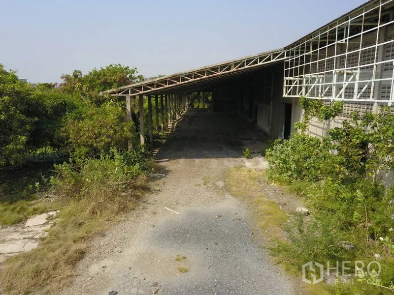 Factory for sale in Samut Prakan - Close-up of a sheltered loading platform with steel columns and a paved yard.