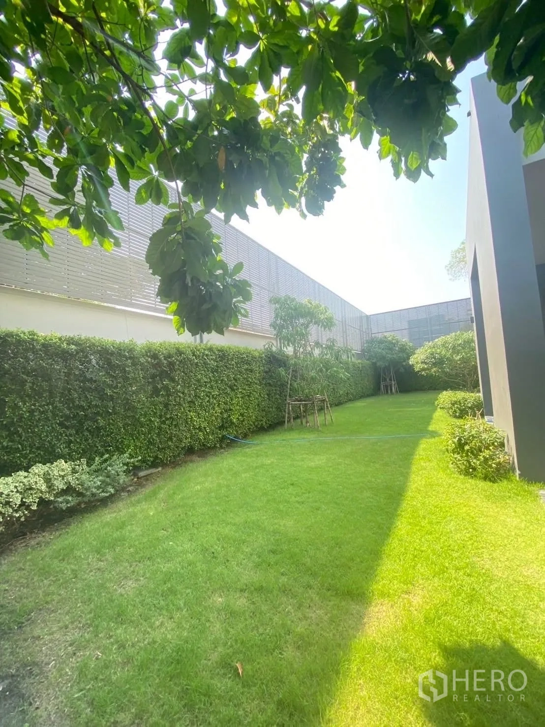 บ้านเดี่ยว for rent or sale in Suan Luang, Bangkok - สวนส่วนตัวสนามหญ้าเขียวและแนวรั้วพุ่มไม้