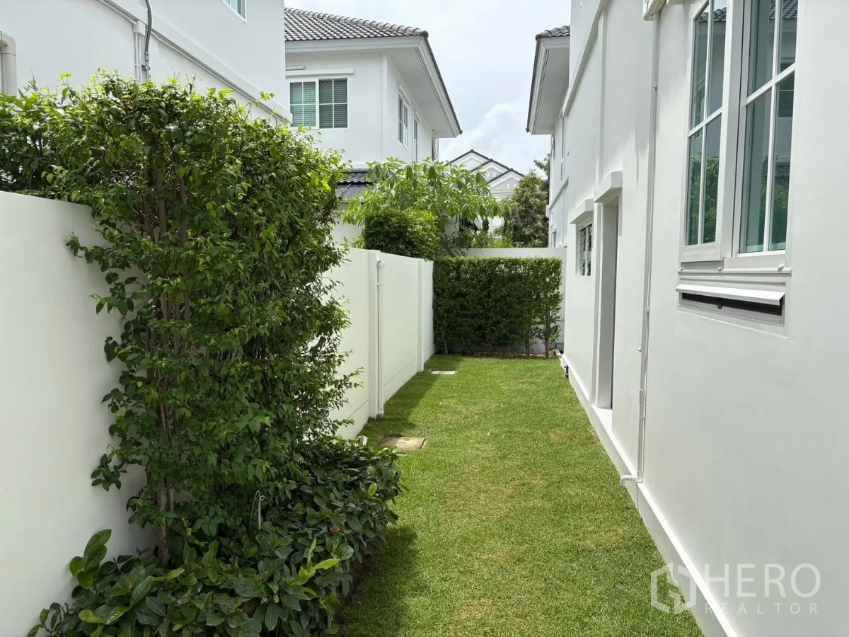 Detached House for rent or sale in Bang Phli, Samut Prakan - Backyard walkway along white walls and trimmed shrubs.