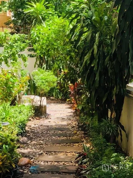 Detached House for rent in Watthana, Bangkok - Lush garden path with stepping stones and tropical plants providing privacy.