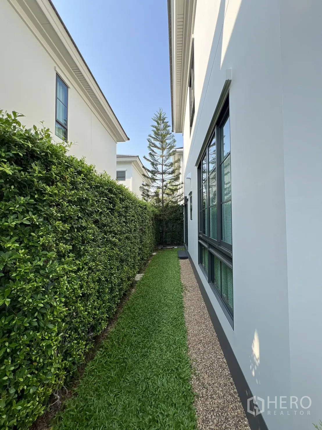 独栋房屋 for rent in Bang Phli, Samut Prakan - 侧院绿篱、草坪与沿屋立面的窗户。