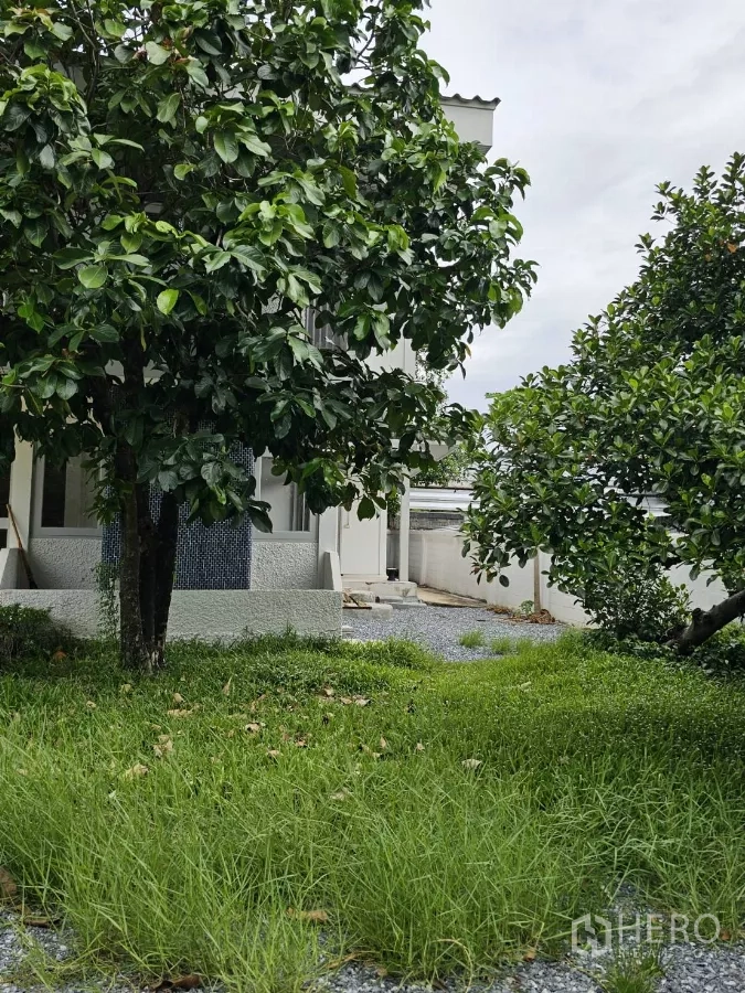 Detached House for rent or sale in Lat Phrao, Bangkok - Garden area with trees and a gravel path next to the house.