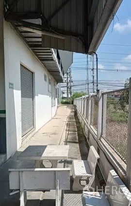 Warehouse for rent or sale in Lam Luk Ka, Pathum Thani - Rear walkway with roller shutter doors, perimeter fence, and utility lines.