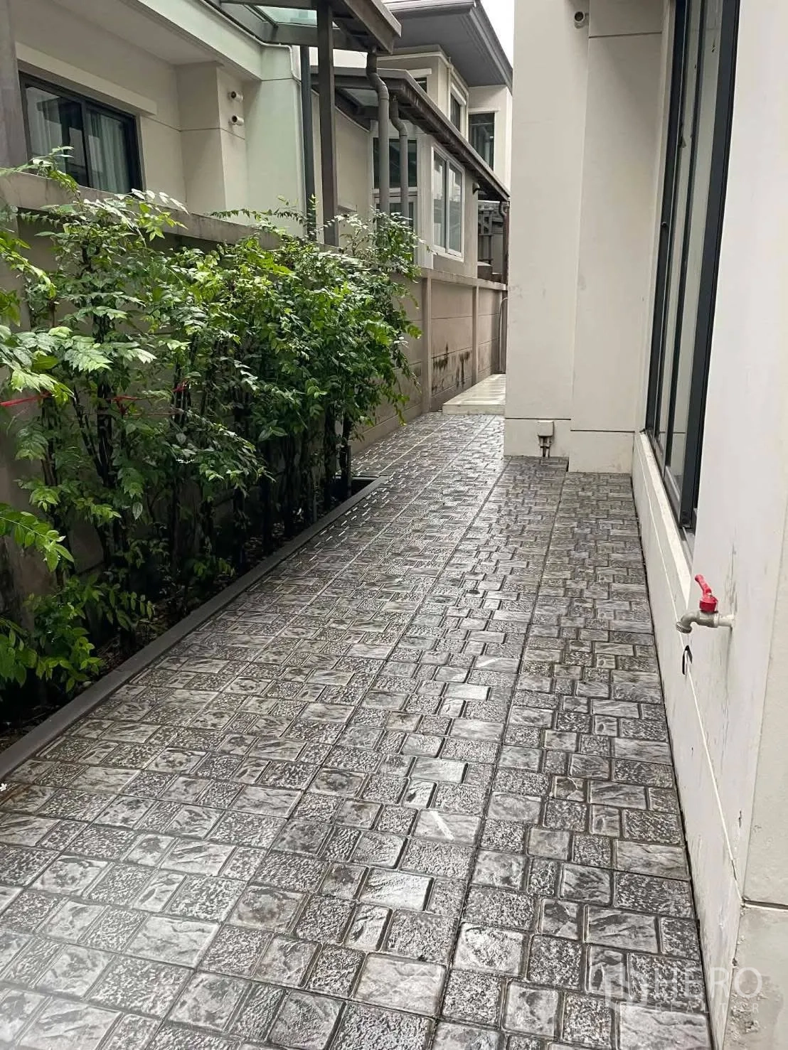 Detached House for rent in Saphan Sung, Bangkok - Side tiled walkway beside the house with hedge planting.