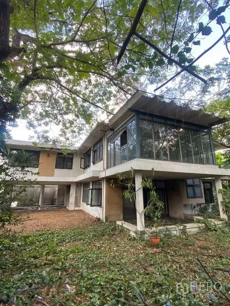 Detached House for rent in Bang Na, Bangkok - Two-storey detached house in Bang Na with a glass-walled upper room and shaded garden beneath mature trees.