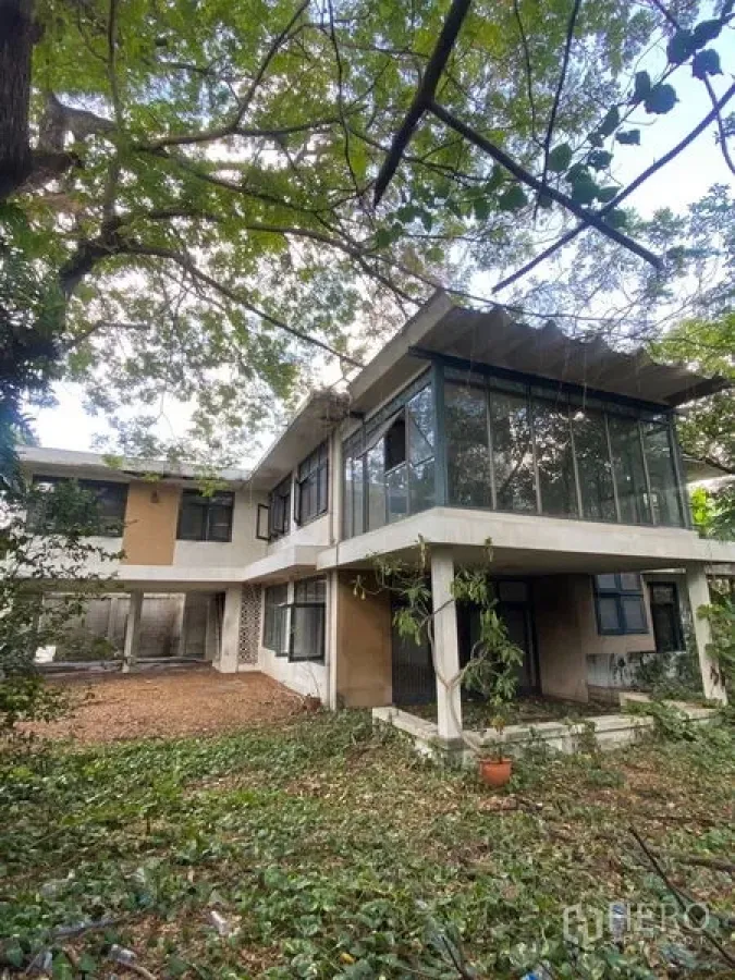 Detached House for rent in Bang Na, Bangkok - Two-storey detached house in Bang Na with a glass-walled upper room and shaded garden beneath mature trees.