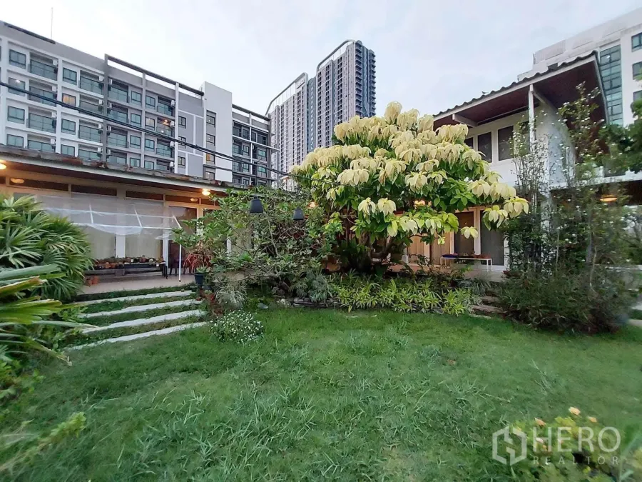 บ้านเดี่ยว for rent or sale in Mueang Samut Prakan, Samut Prakan - บ้านเดี่ยวพร้อมสนามหญ้าและต้นไม้ใหญ่ มีอาคารพักอาศัยอยู่ด้านหลัง
