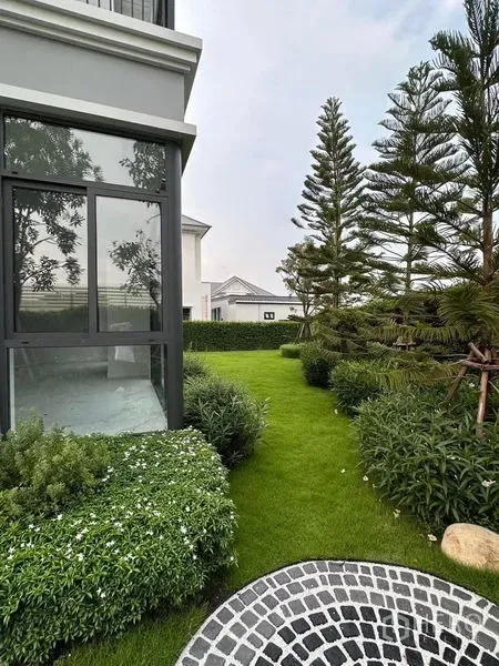 Detached House for sale in Lat Krabang, Bangkok - Landscaped backyard with tall evergreens, hedges, and a corner window of the house.