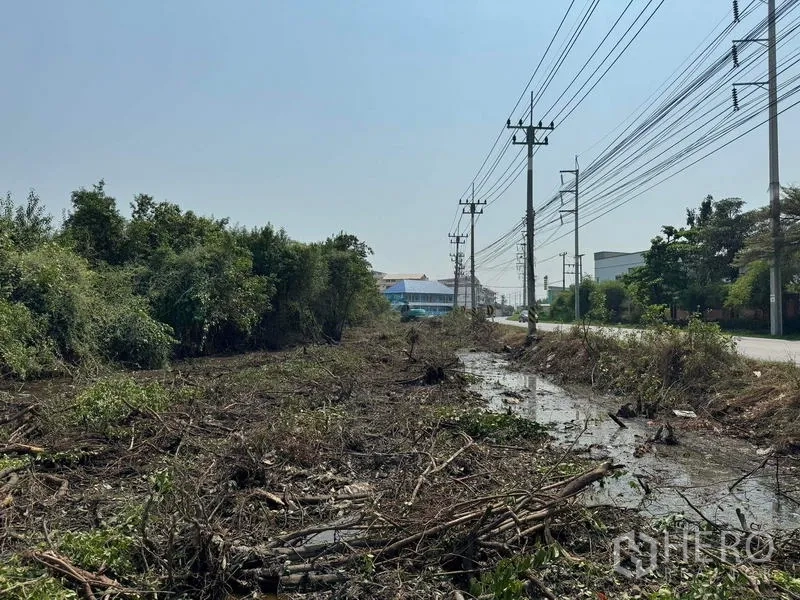 Land for sale in Mueang Samut Sakhon, Samut Sakhon - Roadside canal and newly cleared plot along an industrial street with power lines.