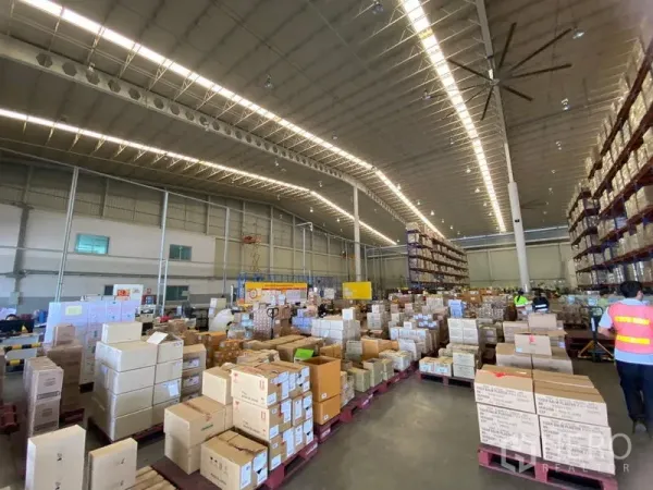 คลังสินค้า ให้เช่าในBang Phli, Samut Prakan - ภายในคลังสินค้าเพดานสูง มีลังสินค้า ชั้นวางสูง และไฟ LED สว่างทั่วพื้นที่