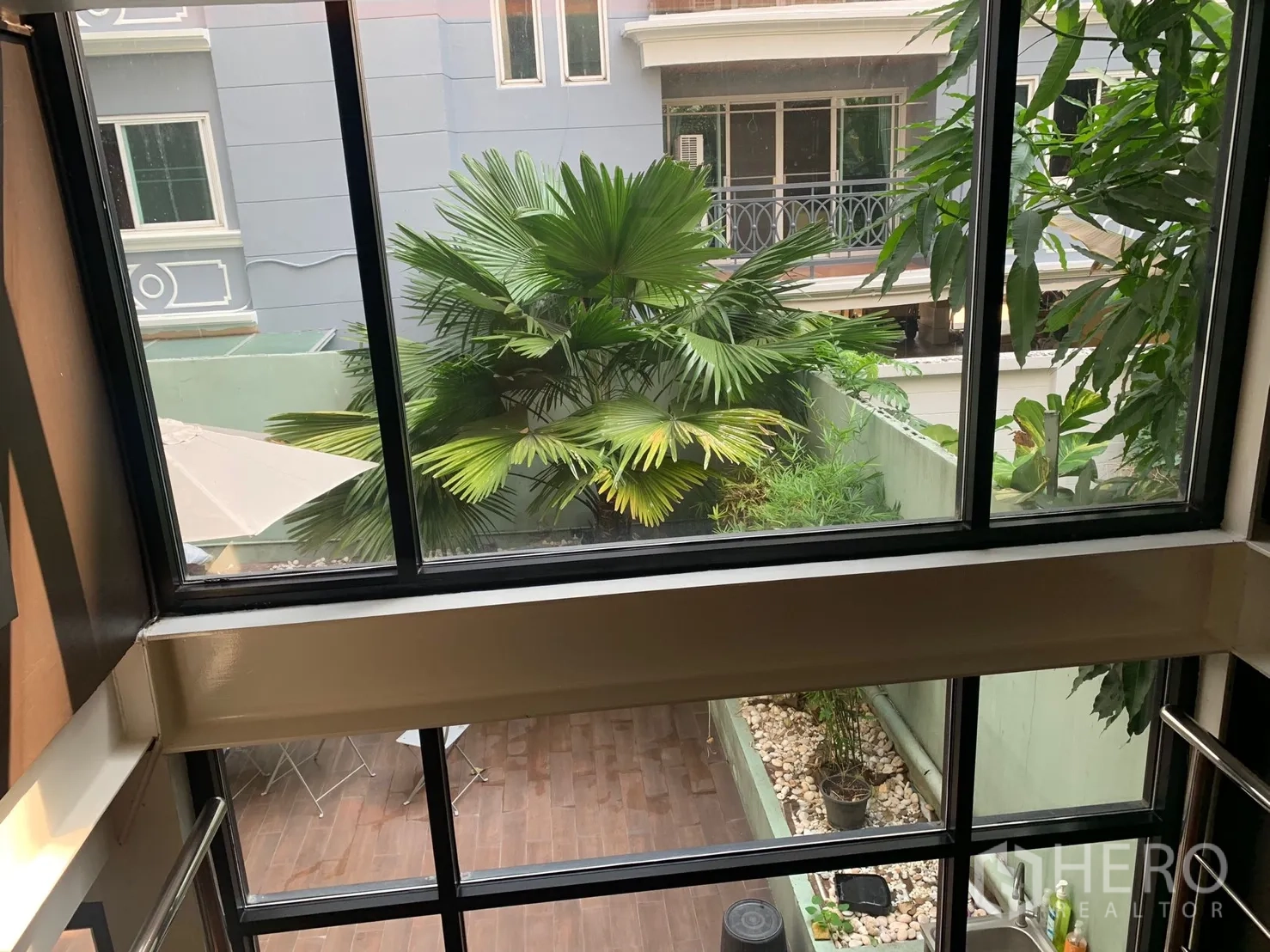 店屋 出租在Watthana, Bangkok - 透过大窗看到私家庭院与棕榈树和植栽