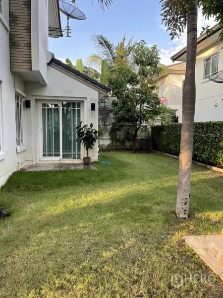 Detached House for rent in Bang Kapi, Bangkok - Back garden with sliding glass doors, green lawn, palm trees and boundary wall.