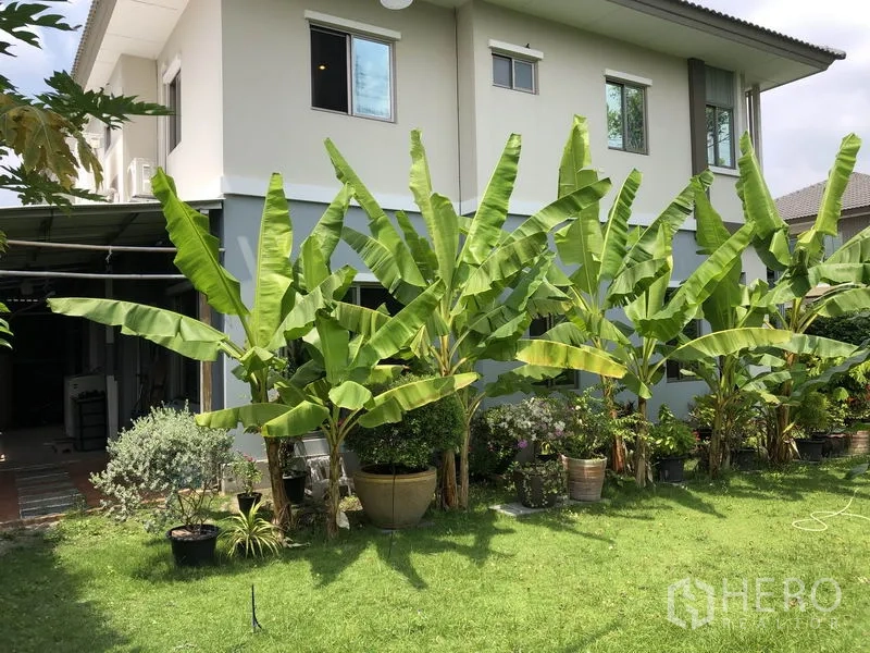 独立式住宅 出租在Suan Luang, Bangkok - 房屋侧院，成排香蕉树与草地
