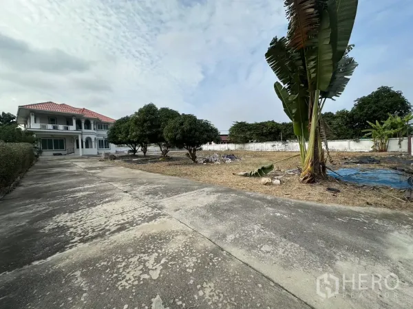 Home Office for rent - Wide concrete driveway with expansive open yard and tropical trees on a walled plot.