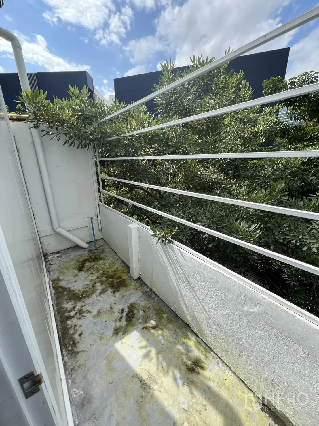 Shophouse for rent or sale in Khlong Toei, Bangkok - Small balcony with railing overlooking greenery under blue sky.