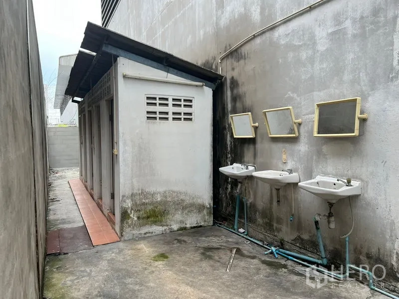 货栈 出租在Bang Sao Thong, Samut Prakan - 室外卫生间区，墙边三处洗手盆与镜子。