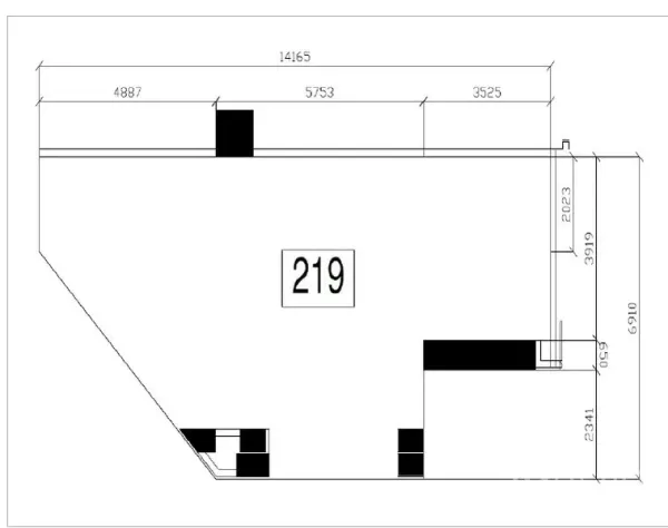Retail Space for rent - Floor plan of retail unit 219 showing an irregular open layout with measured dimensions.