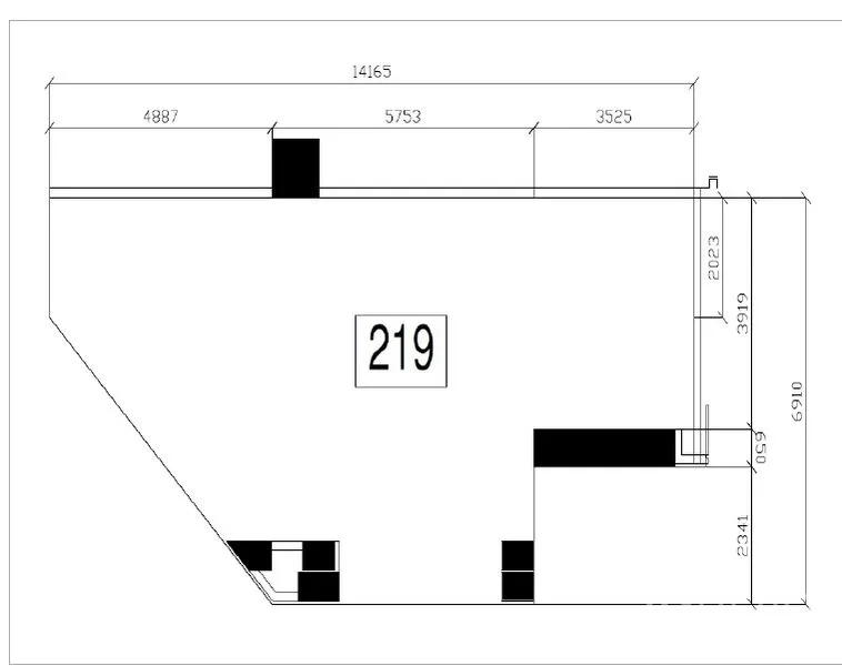 Retail Space for rent - Floor plan of retail unit 219 showing an irregular open layout with measured dimensions.