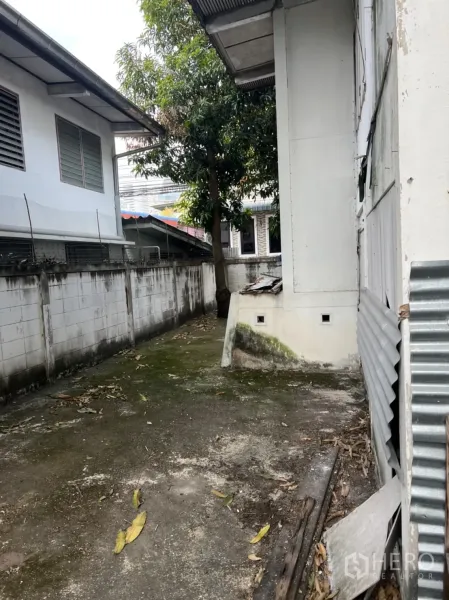 บ้าน ให้เช่าในSathon, Bangkok - ด้านข้างบ้าน พื้นคอนกรีต กำแพงรอบที่ดิน และต้นไม้ใหญ่