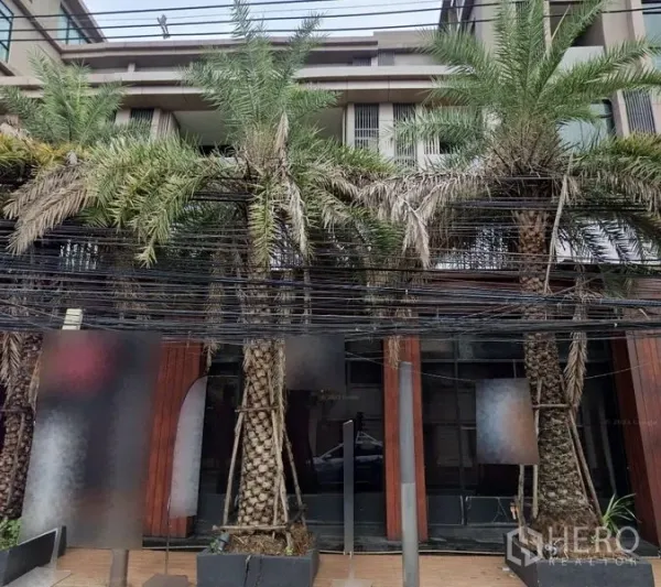 Retail Space for rent in Watthana, Bangkok - Palm-lined retail storefront with large glass facade in Watthana, Bangkok